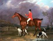 unknow artist Classical hunting fox, Equestrian and Beautiful Horses, 248. oil painting picture wholesale
